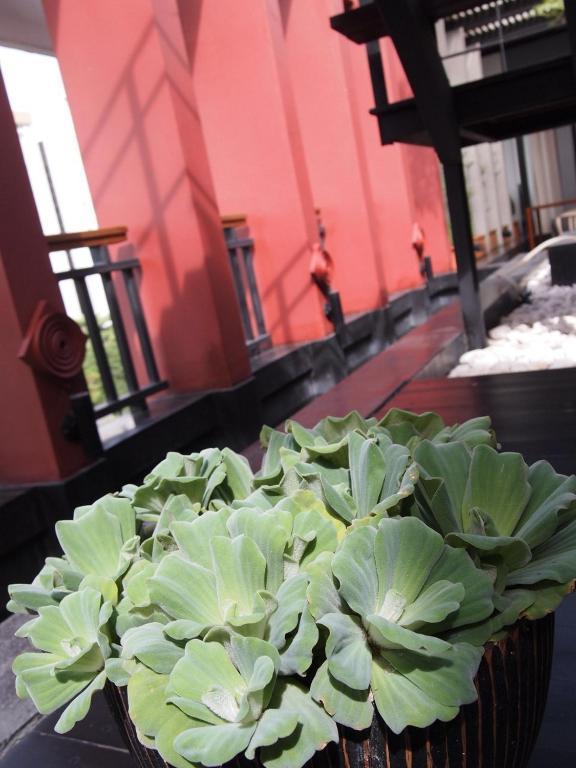 Loogchoob Homestay Μπανγκόκ Εξωτερικό φωτογραφία